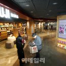영풍코리아