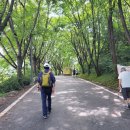 계족산황톳길 이미지