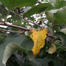 병환농장 이미지