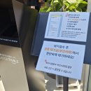 김밥마당 - 청주시 흥덕구 가로수로 1314 | 마산진동맛집 마당국수 올인 박고지김밥에 국수3종까지 다먹어본 후기