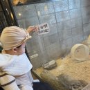 방앤피그 | 용인 동탄 오산 아이와 가볼만한 곳 수달앤쥬 실내동물원