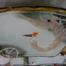 민들레재능어린이집 이미지