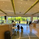 개들랜드 이미지