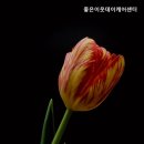 좋은이웃 | 쾌적하고 편안한 처인구 요양원 추천 좋은이웃데이케어센터 편안한 요양원의 대명사