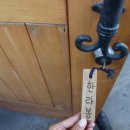 귤낭 이미지