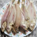 삼천포용궁수산시장 | [내돈내산]사천 삼천포 가볼만한곳 삼천포 용궁 수산시장 방문후기