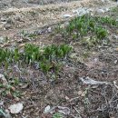 명이농장 이미지