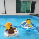 해오름 풀빌라 펜션 이미지