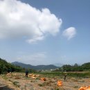 부자정식 이미지