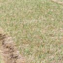 합천부동산공인중개사사무소 이미지