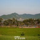 죽림마을 이미지