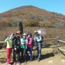 꽃별하얀 이미지