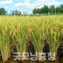 진미유통 이미지