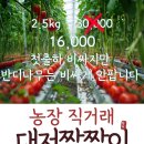 카페반디나무 네이버블로그