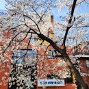 품평 1 대수촌경로당 | 대학동에서 여권 사진 찍고 인터넷으로 재발급 받은 날