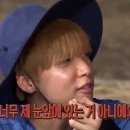 황소밧데리 이미지