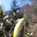 더봄남도집 이미지