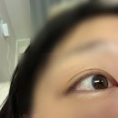디엘프스튜디오