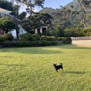 오크빌민박 이미지