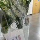 [사회적경제기업] 디지털 반려식물 초보자도 쉽게 키우는 수경식물 키우기