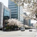 스시보노 이미지