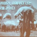 한티 이미지