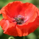 오월의 언덕 이미지