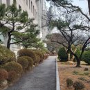 뉴서울평생교육원