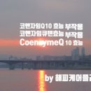 코바마 네이버블로그