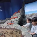 해반수산 Daum카페