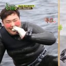 도전목장 이미지