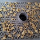 한샘기프트 이미지