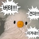 현실도피 상해여행 1탄🇨🇳