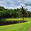 탑골프 | 태국 골프 여행 예약 가성비 탑 방콕 레이크우드cc 부킹 후기
