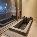 소노펠리체 델피노 이미지