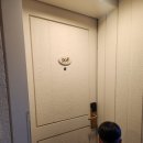 아이랑 호캉스 켄싱턴 평창 솔직후기 (1) 체크인,룸,키즈월드