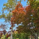 퇴촌 노래연습장 이미지