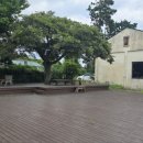 하소로 | 직접 로스팅하는 제주 한경 카페, 하소로커피 방문 후기