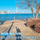 청호동 해변 | 속초 여행코스 청초호 호수공원 산책 후 핫플 속초 셜터 카페 실패, 오션뷰 청호동카페