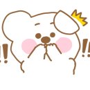 오일카서비스