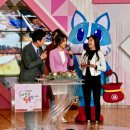 태라컴퍼니 이미지