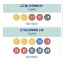 1173 로또 로메 (펌) 이미지