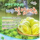 하일영농조합법인 Daum카페