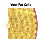튼튼연합의원 이미지