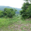 비석농장 이미지