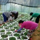 비래경로당 이미지