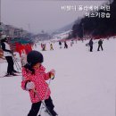 폴라베어