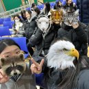 노티농장 이미지