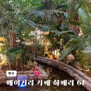 61 | 동두천 양주 대형 카페 베이커리카페 하패리61 아이랑 브런치 맛집 후기