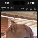 정아다방 이미지